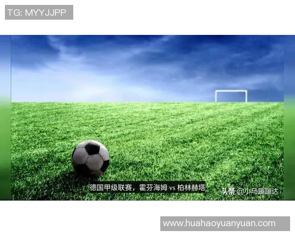 赫塔与沃尔夫对决前瞻分析及比分预测展望 赫塔与沃尔夫对决前瞻分析及比分预测展望