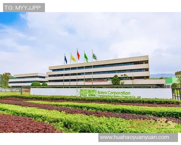 重庆篮球队运营革新探索:从管理模式到市场营销的全方位提升之路 重庆篮球队运营革新探索:从管理模式到市场营销的全方位提升之路