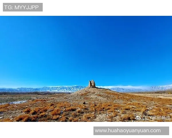 原帅的崛起之路：从默默无闻到闪耀舞台的传奇旅程